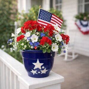 Hermitage Pottery Patriotic Flower Pot Blue Star Sandstone Planter Americana